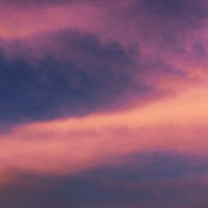 Meet your Posher, Bela